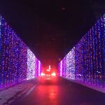 Wonderlight's Christmas
