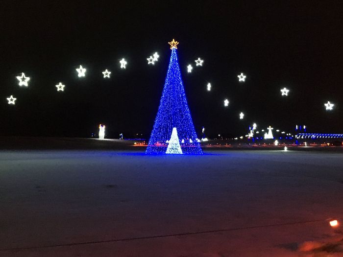 Wonderlight's Christmas