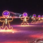 Wonderlight's Christmas