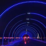 Wonderlight's Christmas