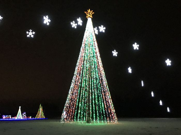 Wonderlight's Christmas
