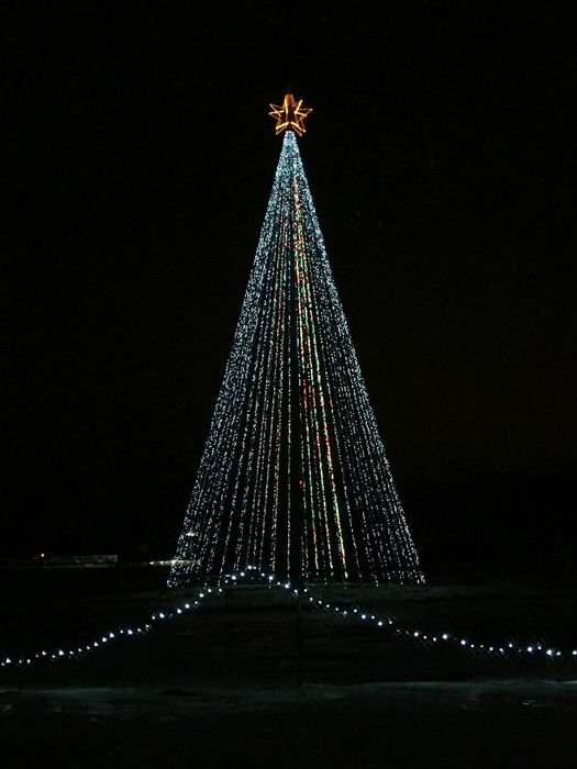 Wonderlight's Christmas