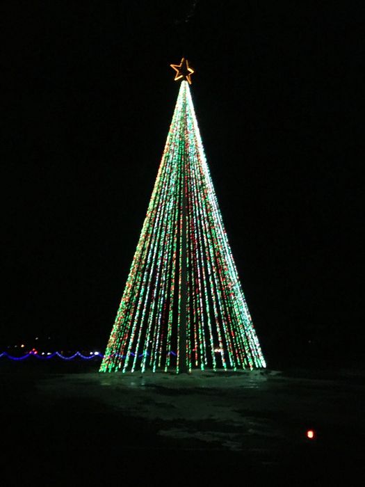 Wonderlight's Christmas
