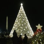 National Christmas Tree