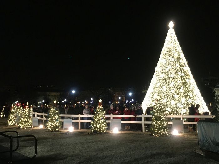 National Christmas Tree