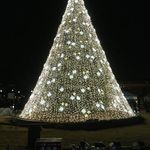 National Christmas Tree