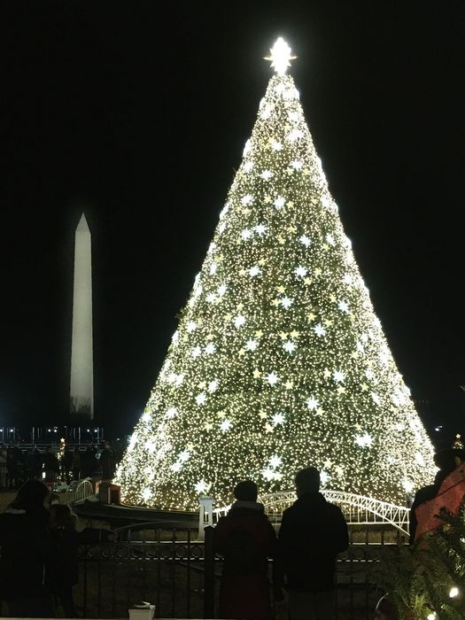 National Christmas Tree