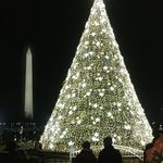 National Christmas Tree