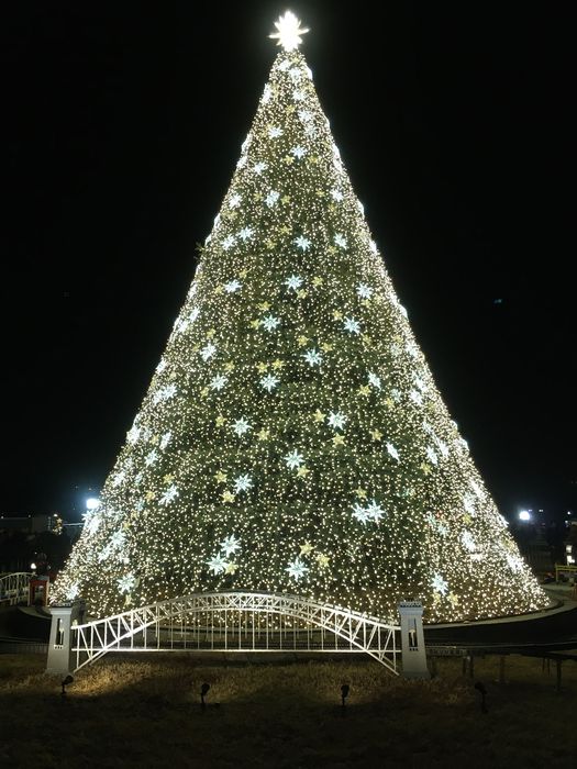 National Christmas Tree