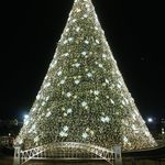 National Christmas Tree