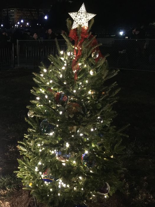 Ohio Christmas Tree