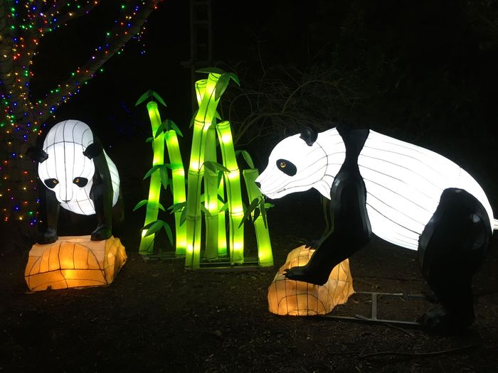 ZooLights