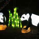 ZooLights