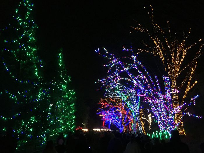 ZooLights