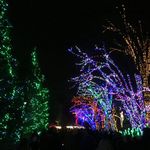 ZooLights