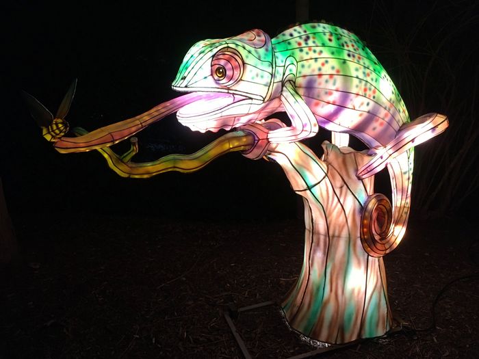 ZooLights
