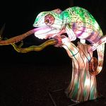 ZooLights
