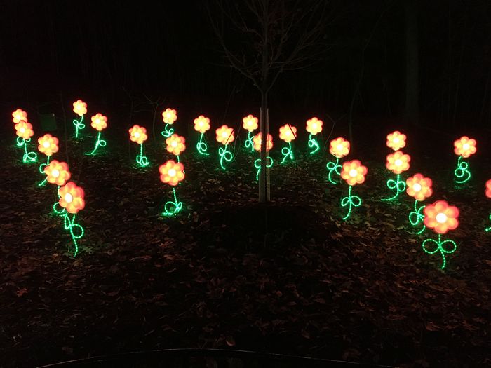 ZooLights