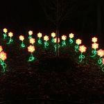 ZooLights