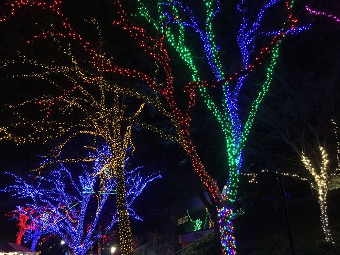 ZooLights
