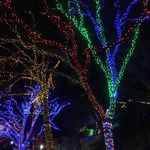 ZooLights