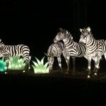 ZooLights