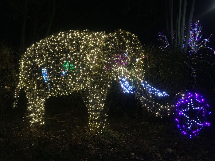ZooLights