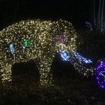 ZooLights
