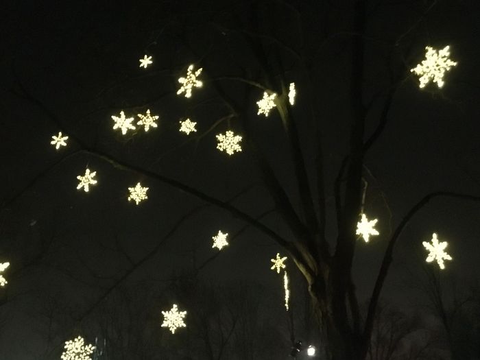 ZooLights