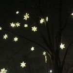 ZooLights