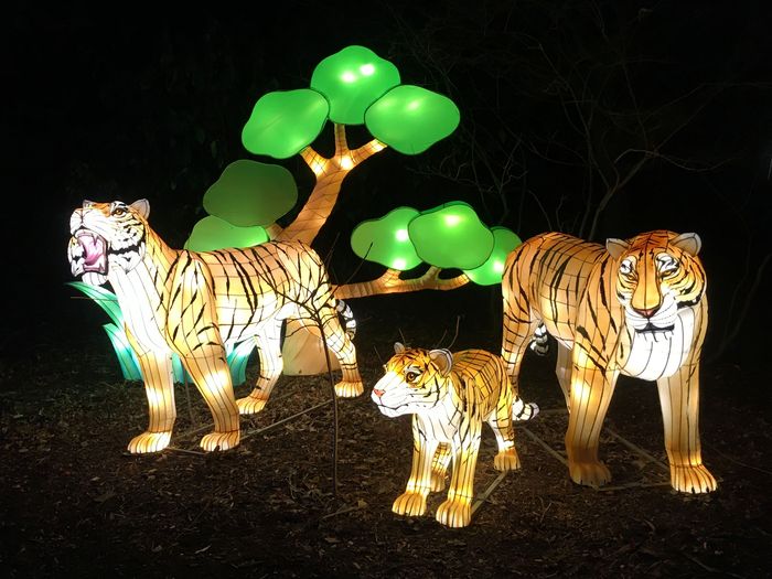ZooLights