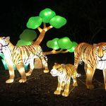 ZooLights