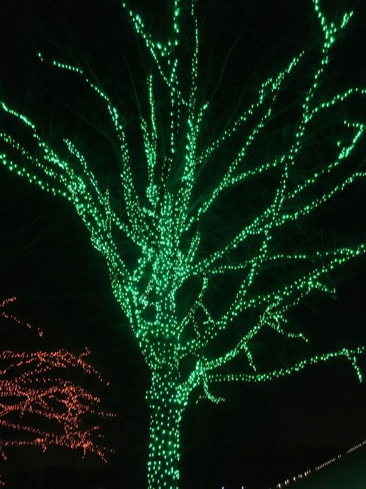 ZooLights