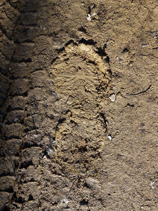 My Footprint