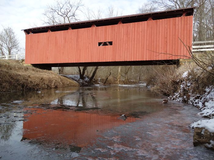Root Covered Bridge