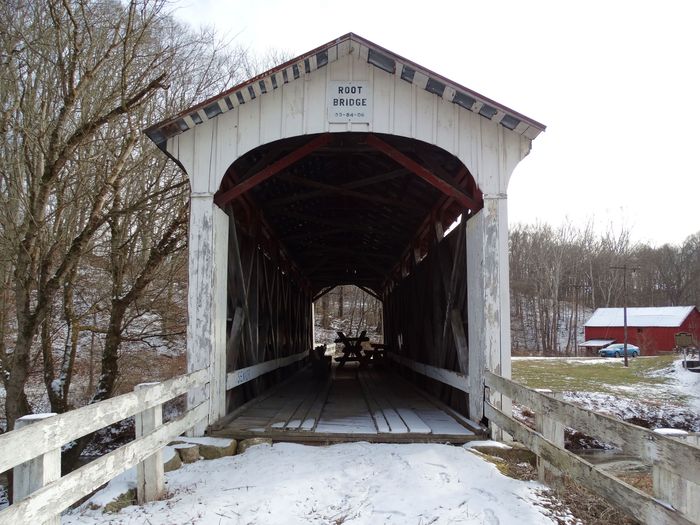 Root Covered Bridge
