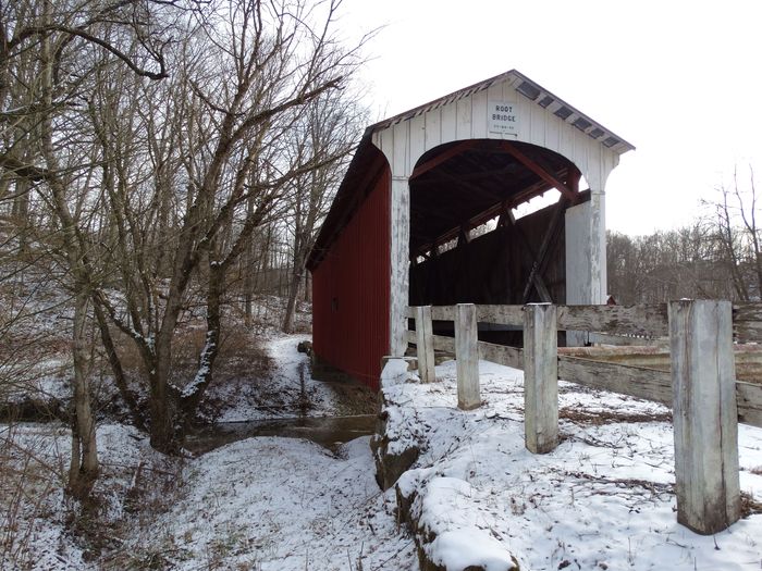Root Covered Bridge