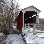 Root Covered Bridge