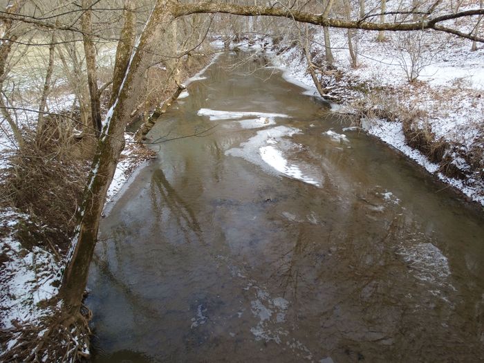 Root Covered Bridge