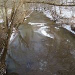 Root Covered Bridge