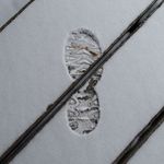 My Footprint