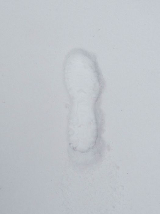 My Footprint