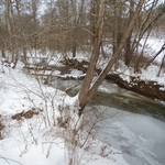 Cox Covered Bridge