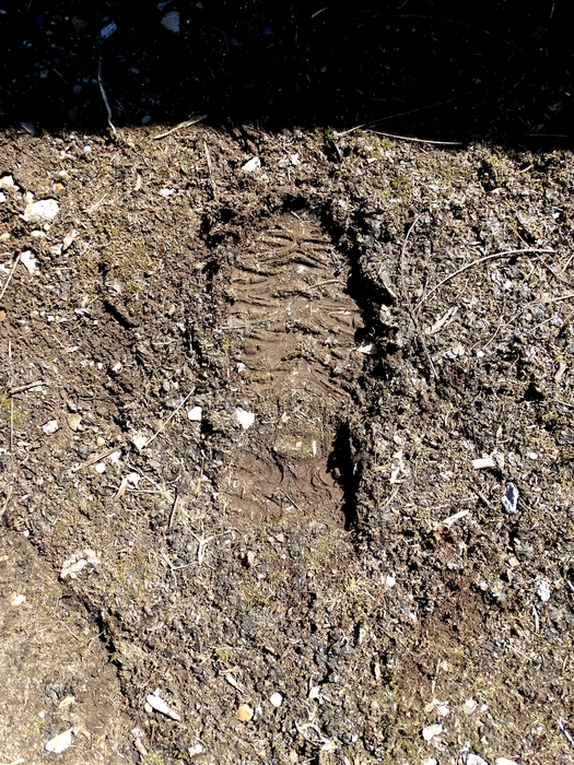 My Footprint