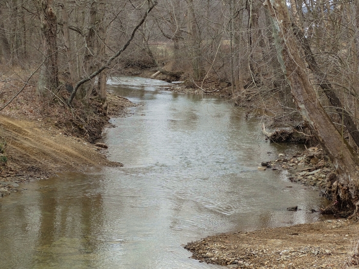 Mt. Olive Road Covered Bridge