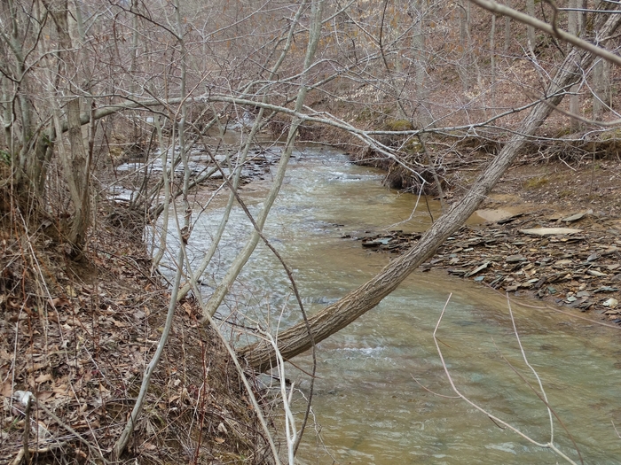 Mt. Olive Road Covered Bridge