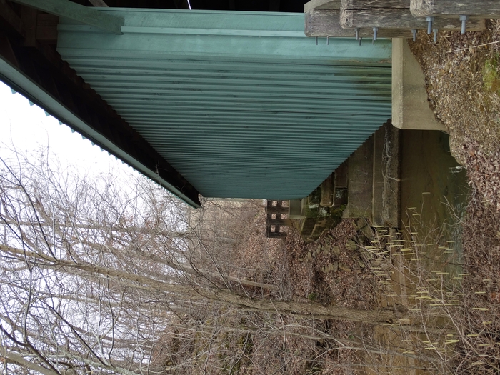Mt. Olive Road Covered Bridge