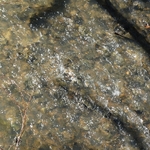 Mink Hollow Covered Bridge