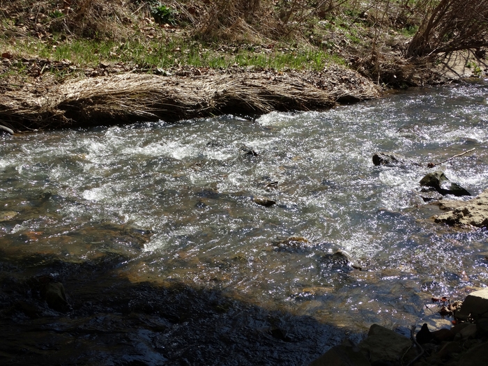 Mink Hollow Covered Bridge
