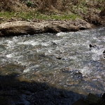 Mink Hollow Covered Bridge